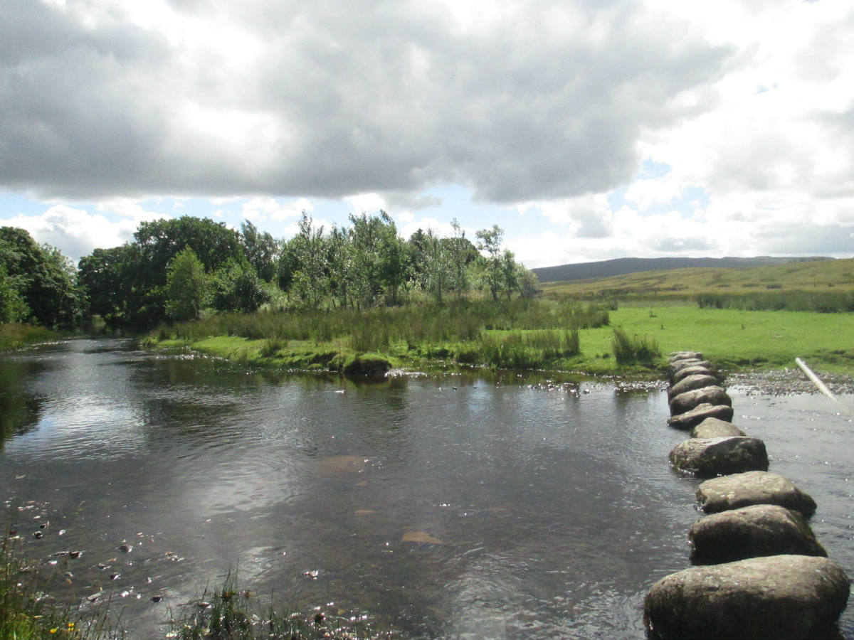 Solve Stepping Stones jigsaw puzzle online with 108 pieces