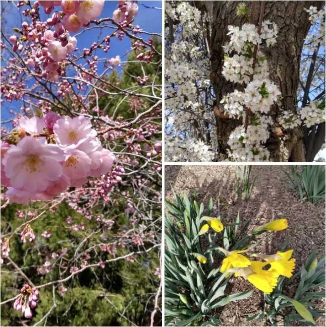 Jigsaw Puzzle | 49 pieces | 