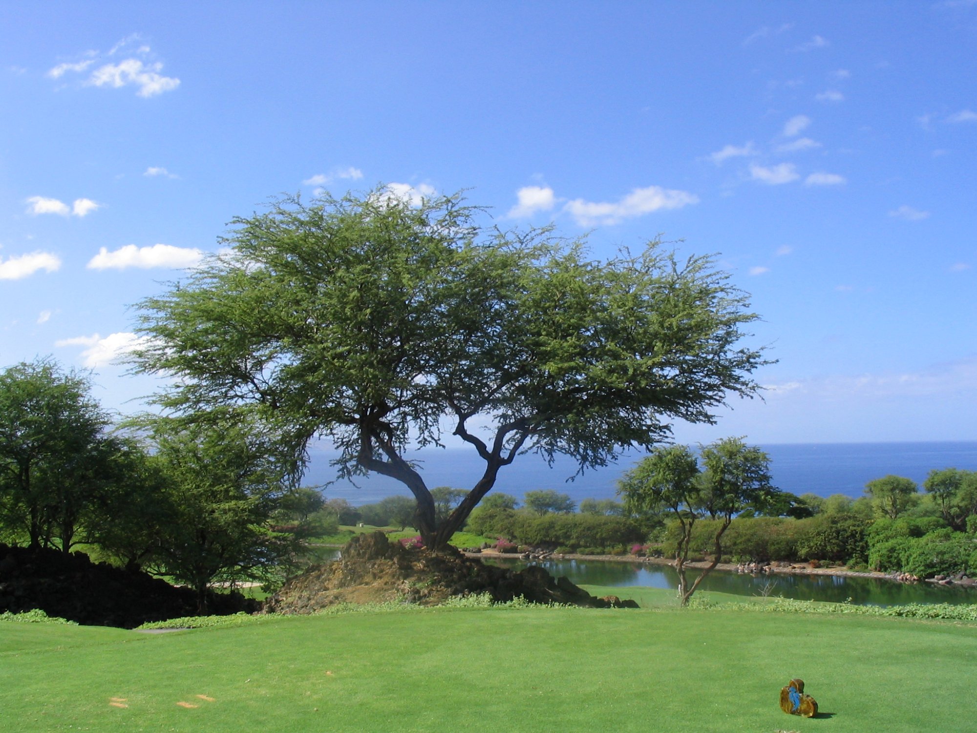 Solve Maui s Grand Wailea Golf Course jigsaw puzzle online with 99 pieces