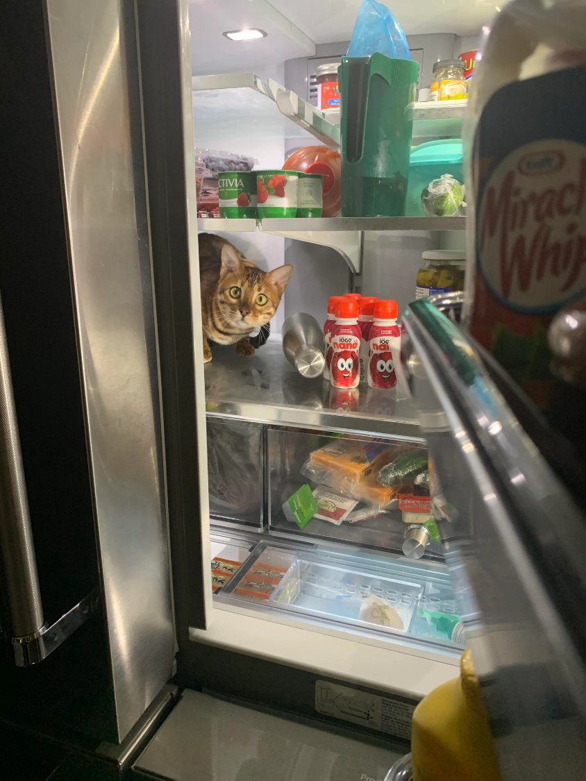 Solve Add a caption! jigsaw puzzle online with 12 pieces