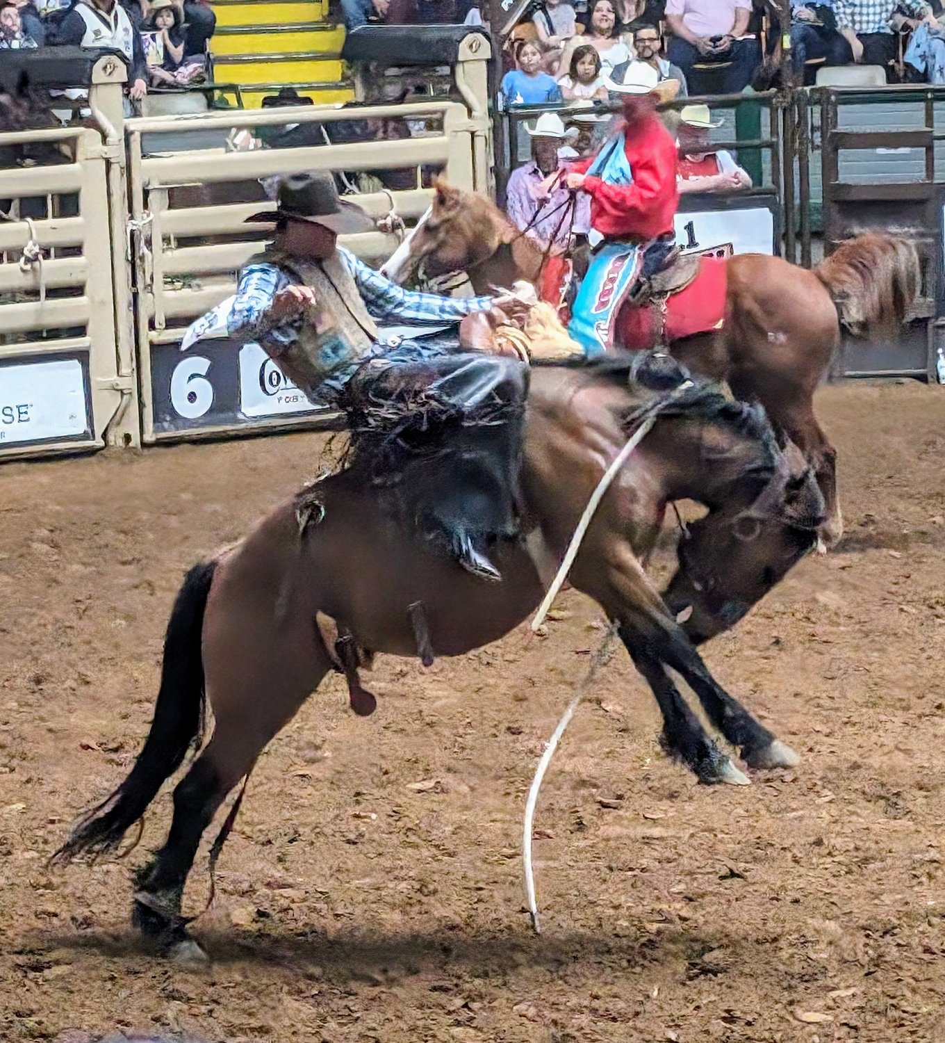 Solve Rodeo at the Fort Worth Stockyards jigsaw puzzle online with 90 ...