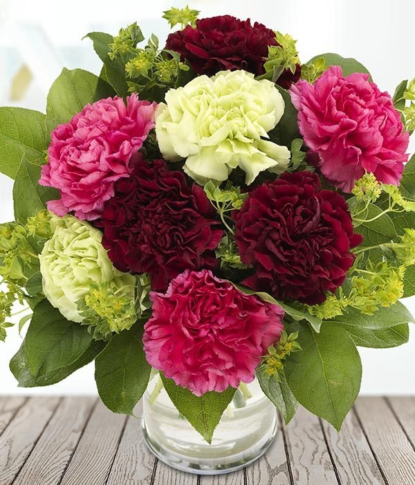 Solve Carnations jigsaw puzzle online with 99 pieces