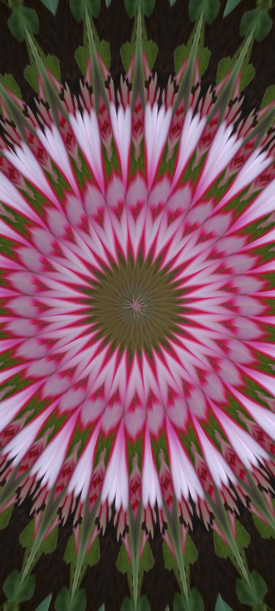 Solve Kaleido Jigsaw Puzzle Online With 18 Pieces solve-kaleido-jigsaw-puzzle-online-with-18-pieces