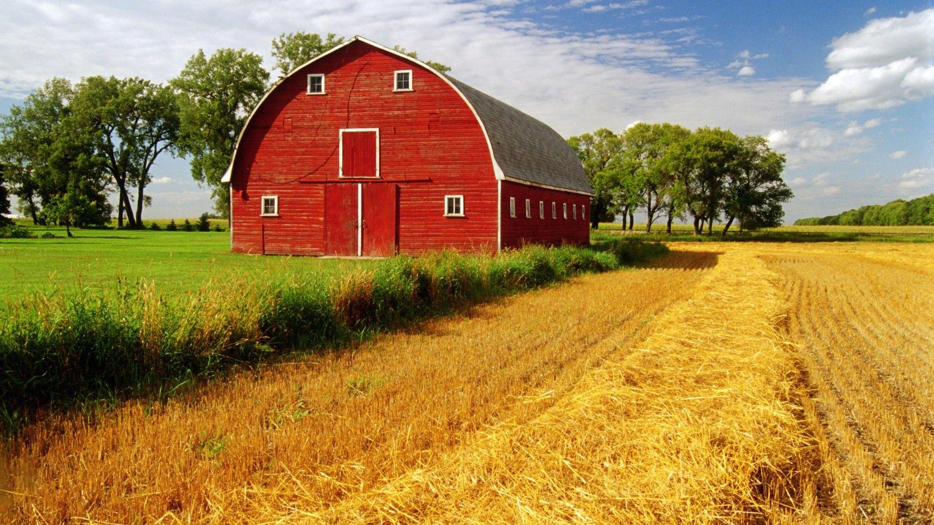 Jigsaw Puzzle 120 pieces Barns 🐄 Jigidi Jigsaw Puzzle 120 pieces Barns 🐄 Jigidi