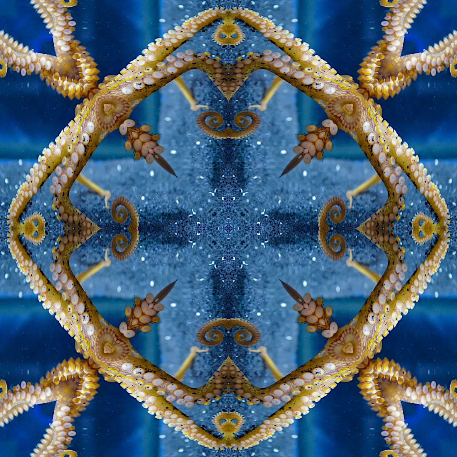 solve-2-very-large-jigsaw-puzzle-online-with-225-pieces