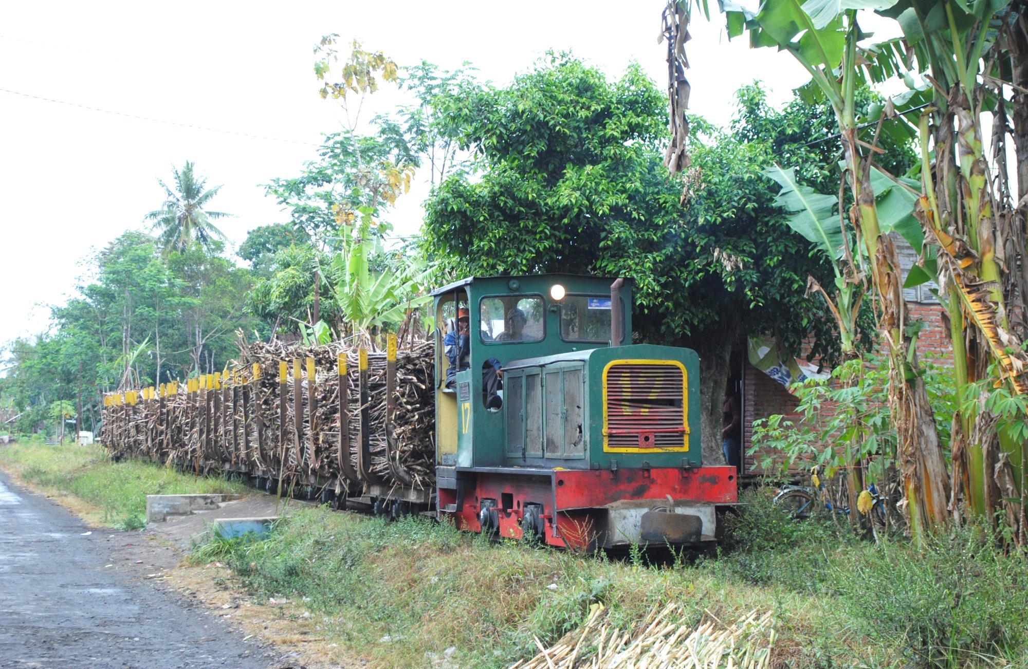 Solve Hauling cane in Java, 2012 jigsaw puzzle online with 160 pieces