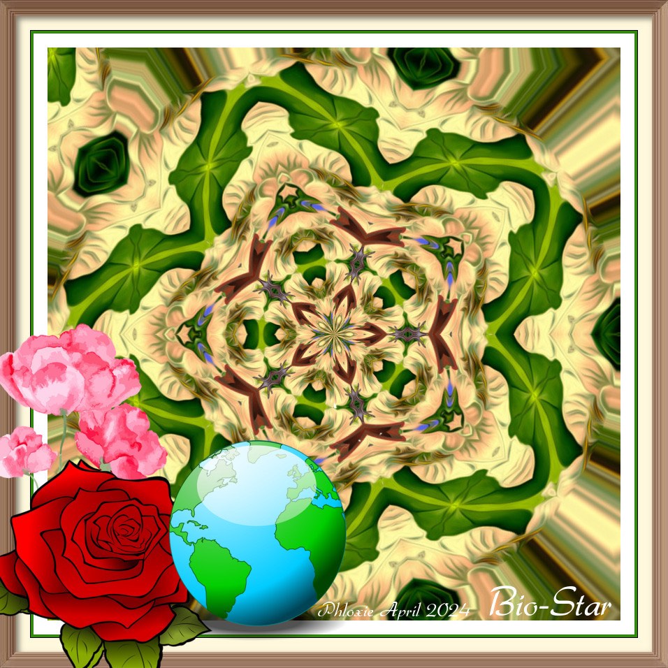 Solve Bio_Star jigsaw puzzle online with 36 pieces