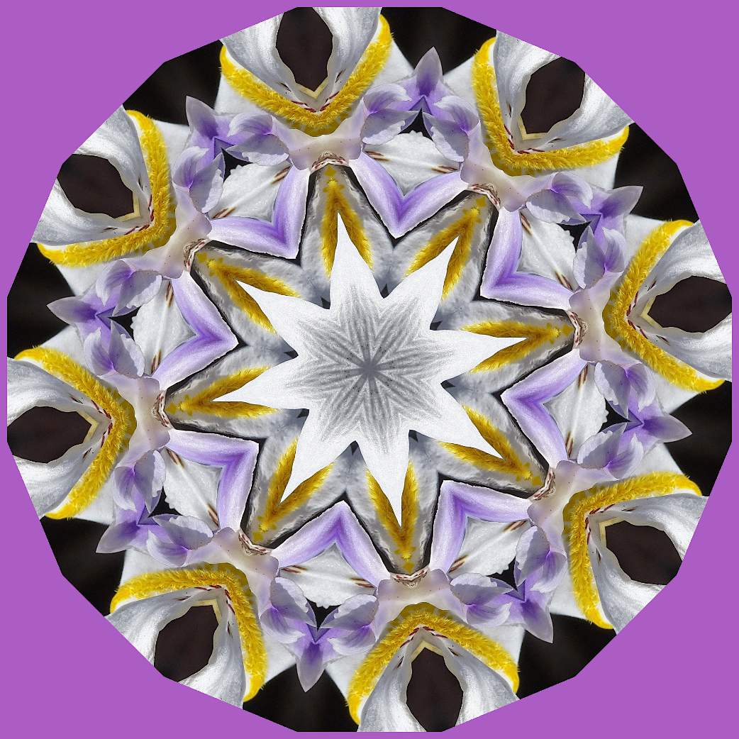 solve-1-very-small-jigsaw-puzzle-online-with-25-pieces