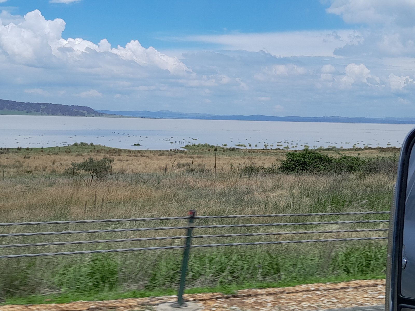 Solve Lake near Canberra jigsaw puzzle online with 48 pieces