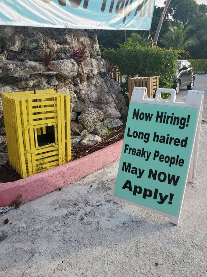 Solve Now Hiring jigsaw puzzle online with 12 pieces