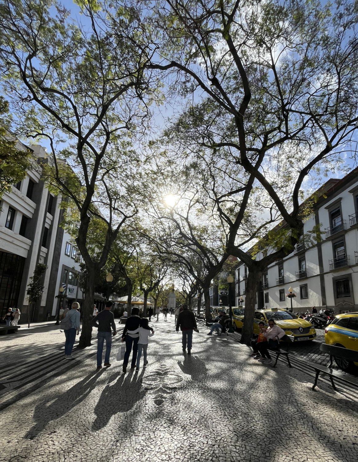 Spring In The City Solve Spring in the city jigsaw puzzle online with 252 pieces