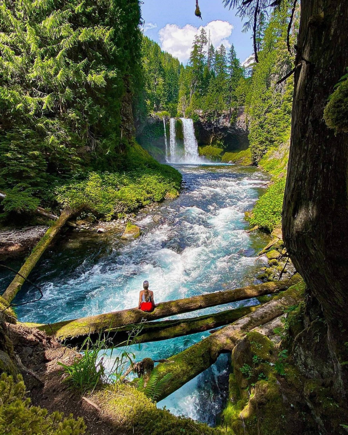 Solve Koosah Falls In Oregon or Log with a view jigsaw