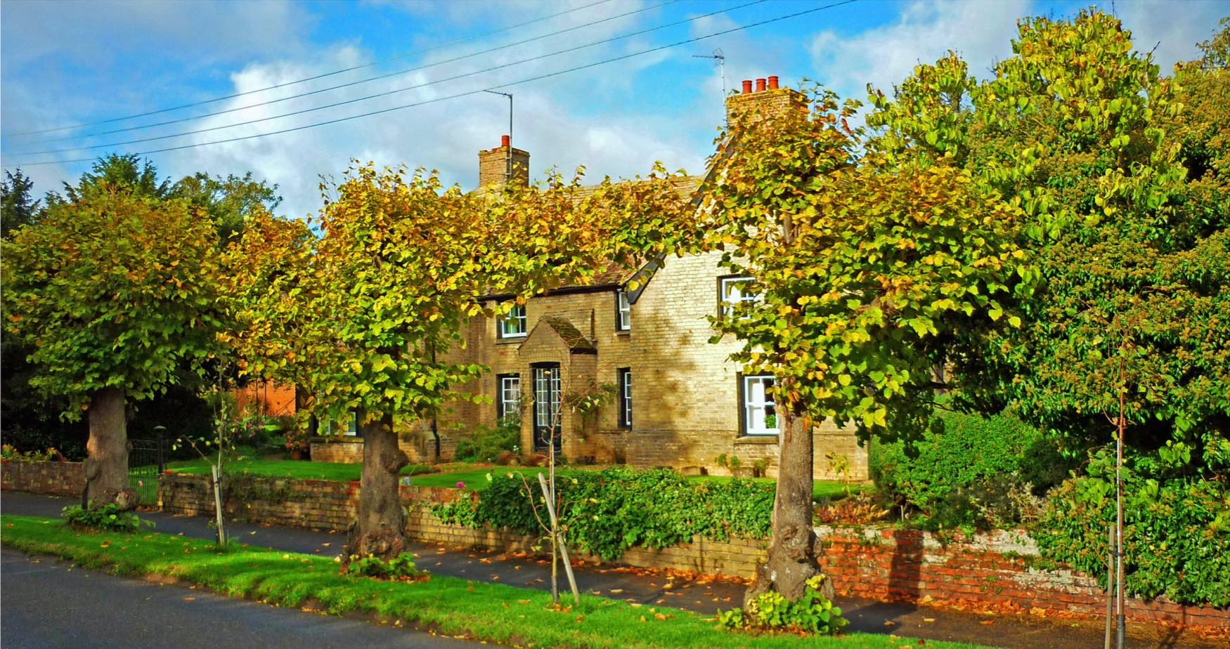 Solve Rook Grove. Wistow. Cambridgeshire. UK. jigsaw puzzle online with 98 pieces