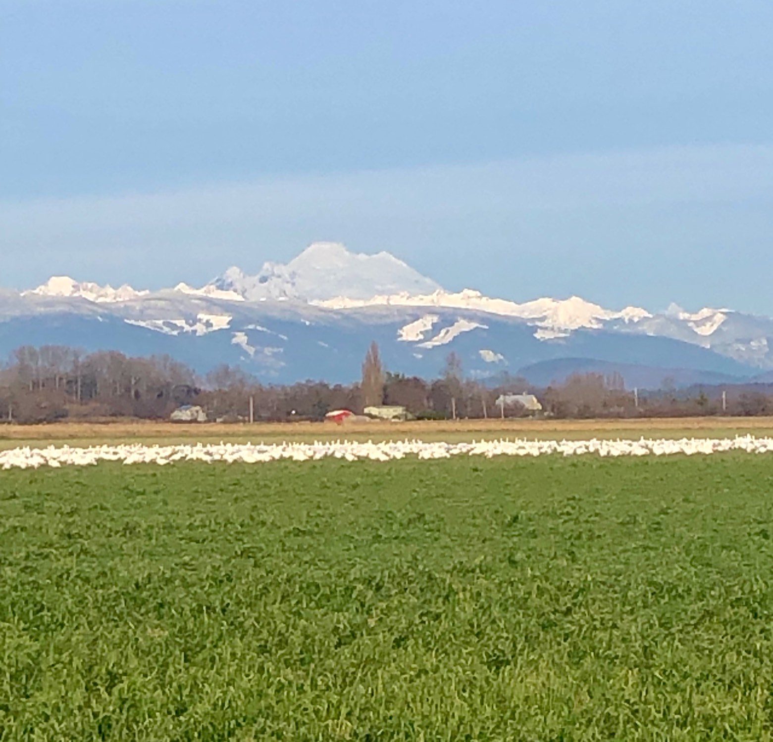 Jigsaw Puzzle 81 pieces IMG_2512 Jigidi