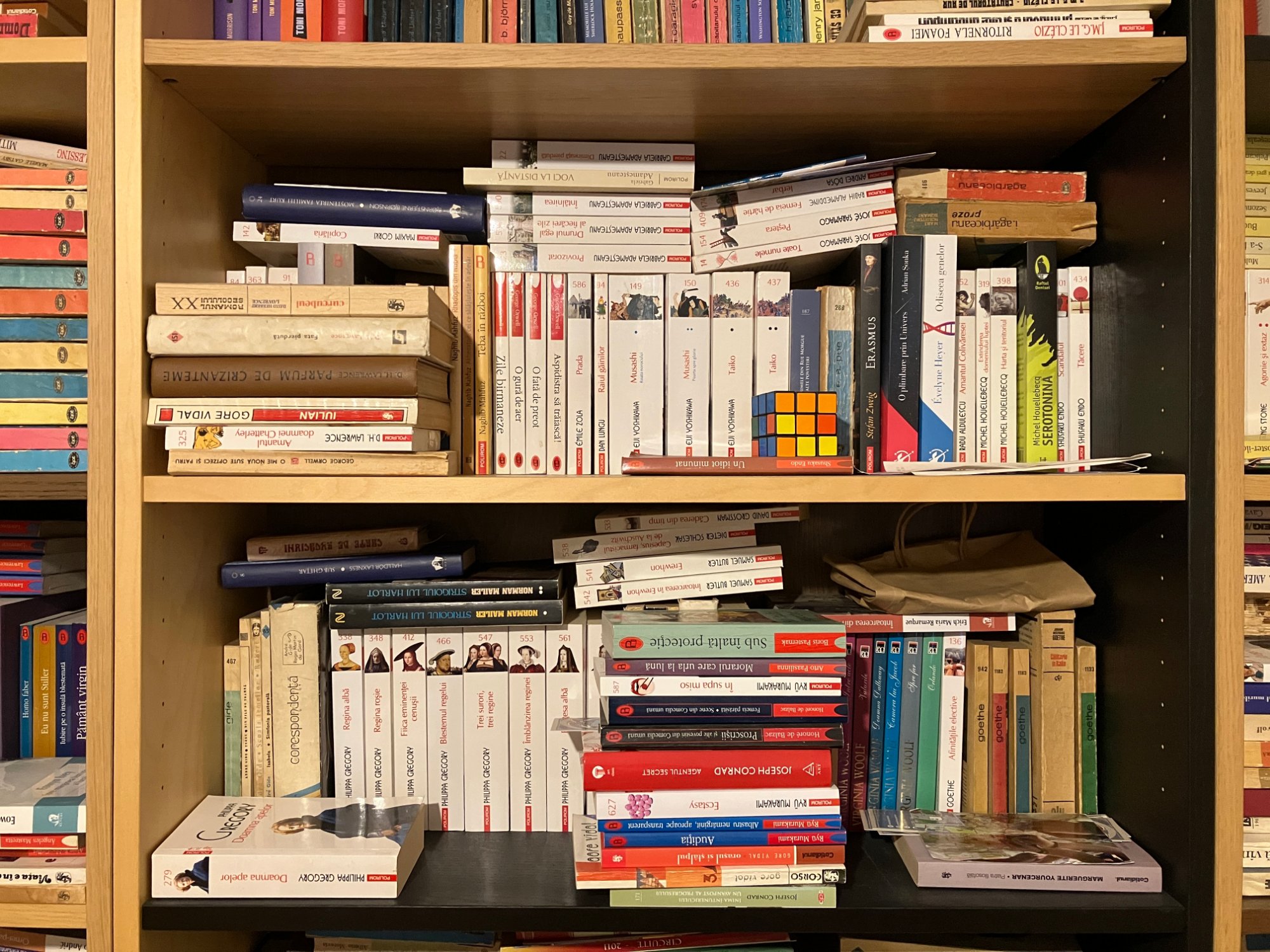 Solve bookshelf jigsaw puzzle online with 594 pieces