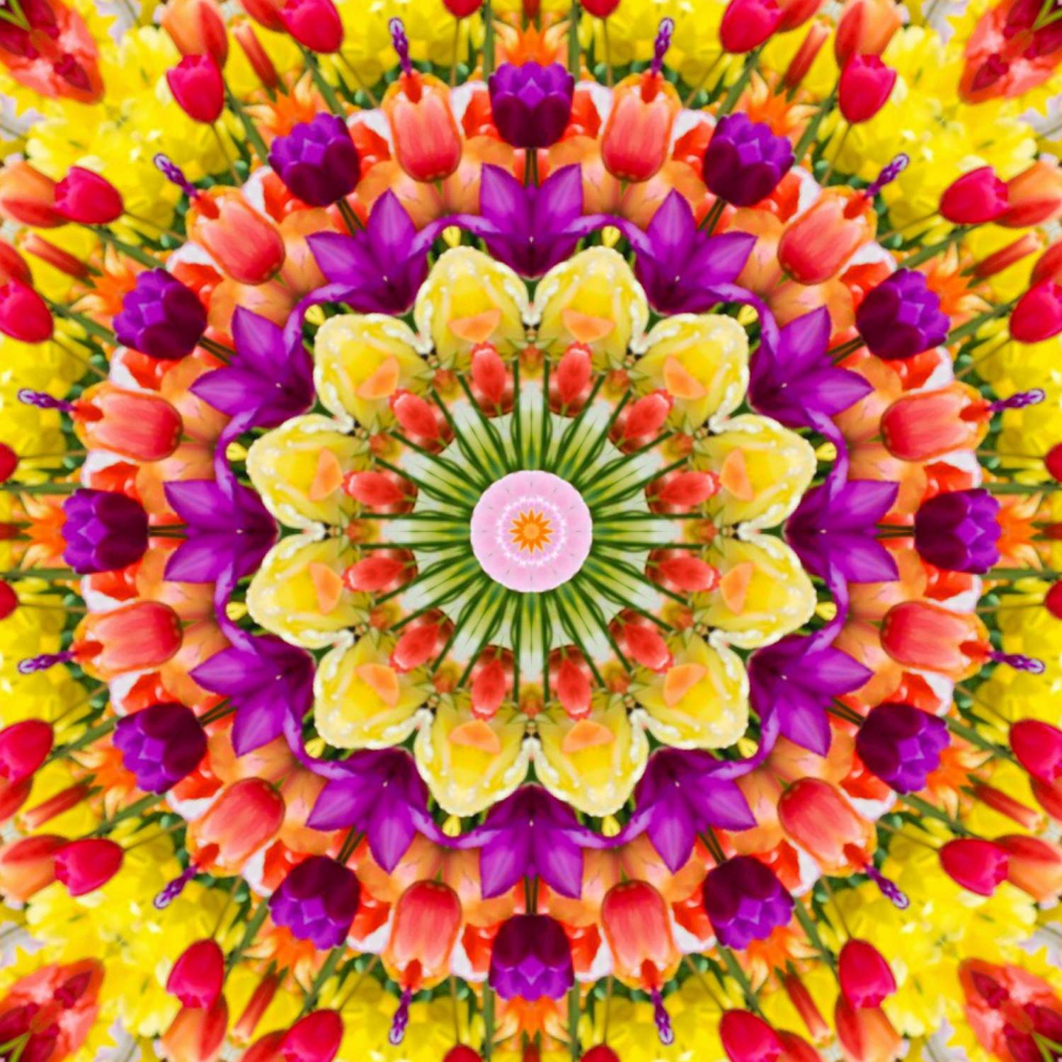 Solve 606 more colours! medium jigsaw puzzle online with 169 pieces