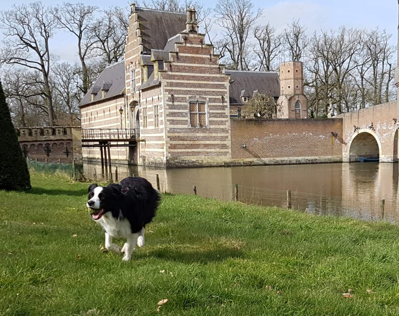 Solve Ollie ️ jigsaw puzzle online with 30 pieces