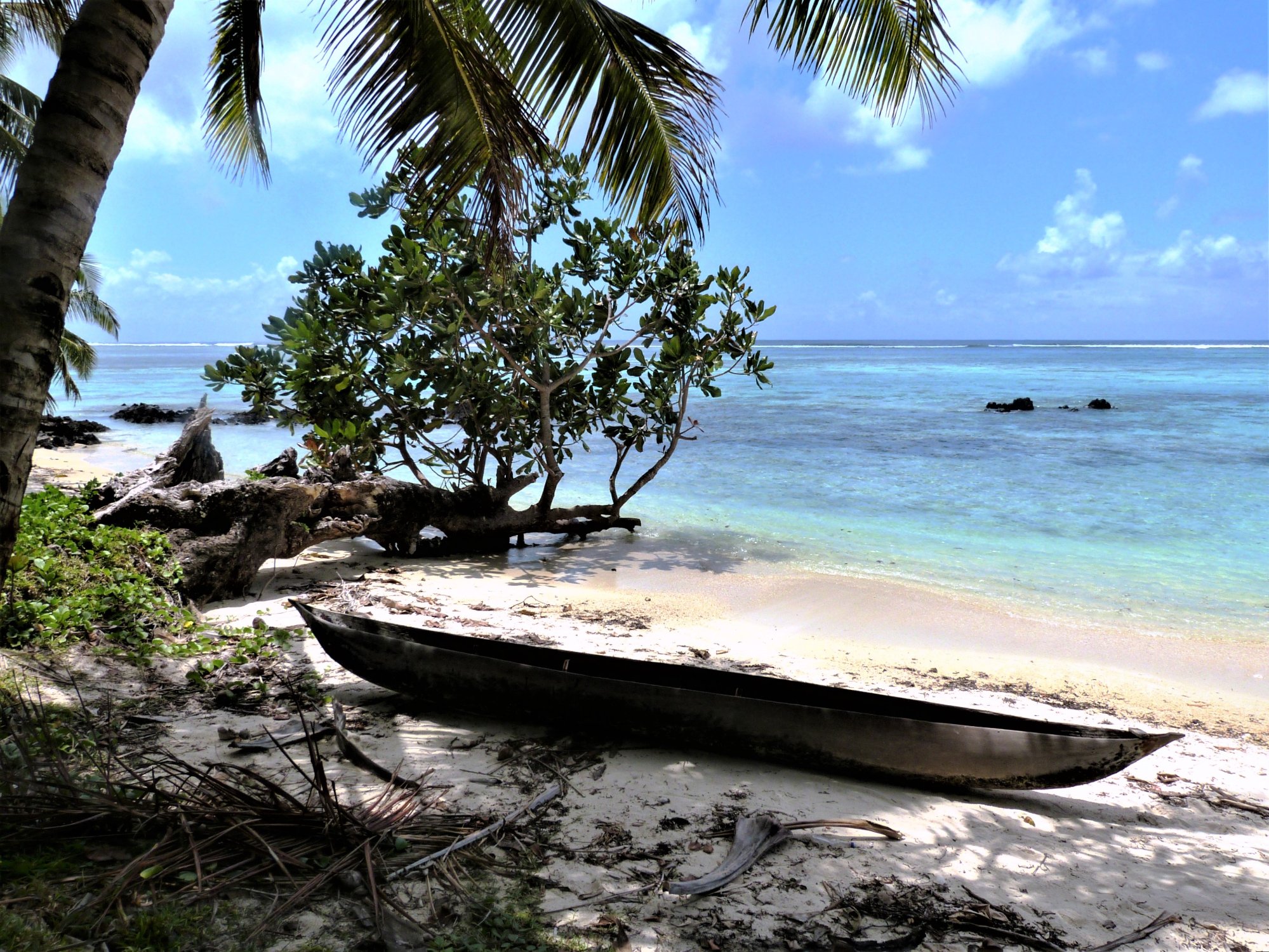 Solve Ile St Marie, Madagascar jigsaw puzzle online with 154 pieces