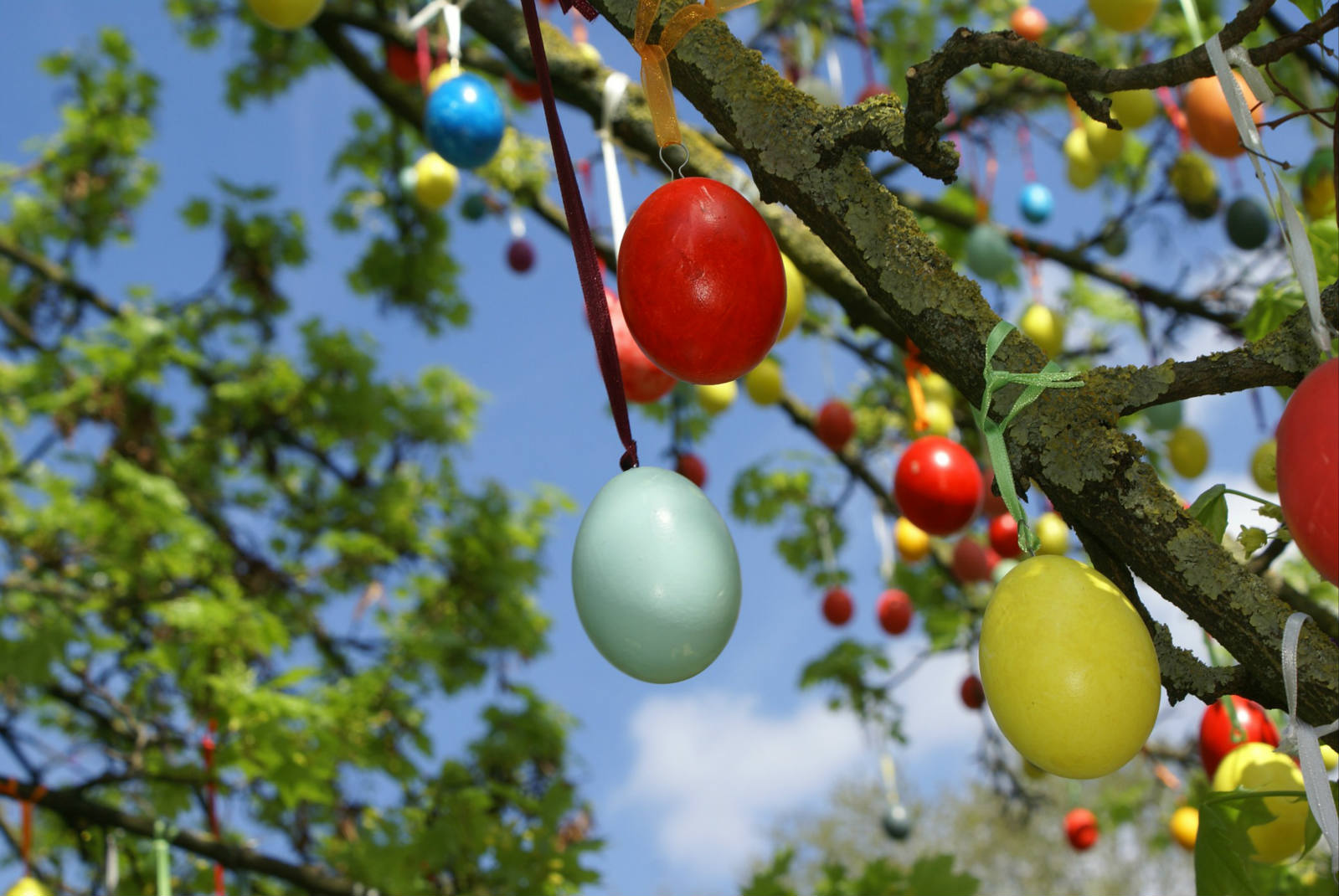 Solve easter eggs jigsaw puzzle online with 294 pieces