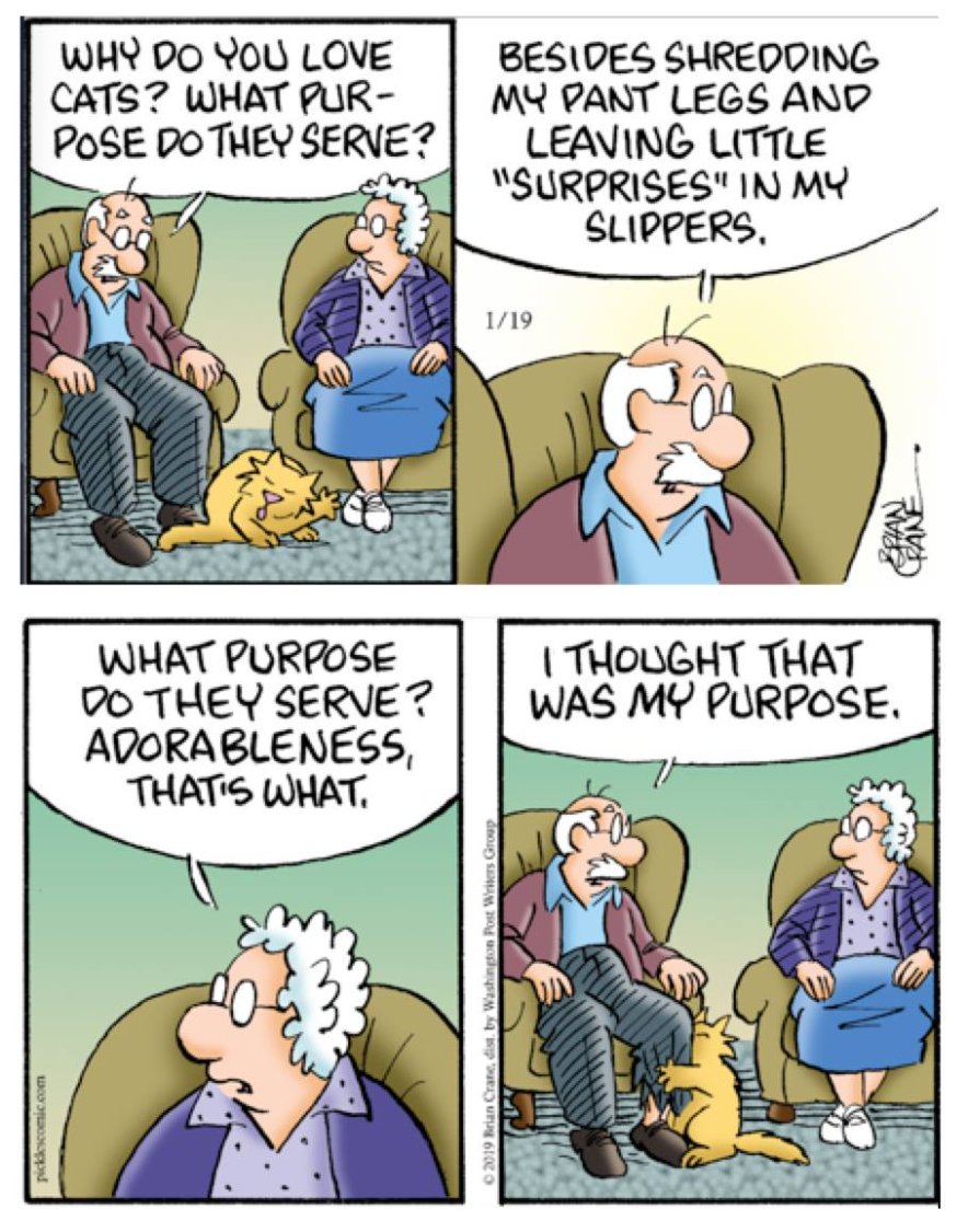 Solve purpose jigsaw puzzle online with 20 pieces