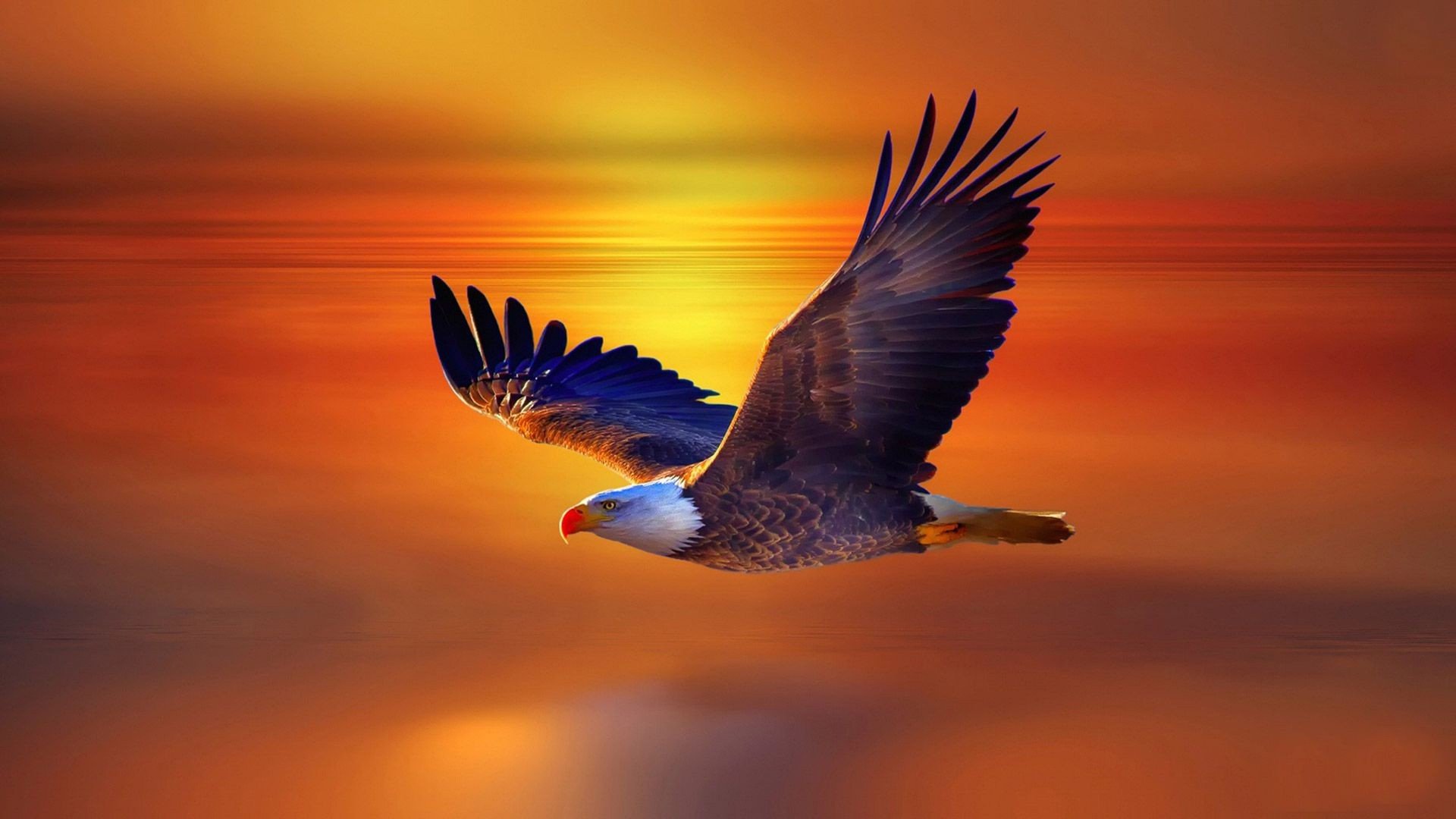 Jigsaw Puzzle | 170 pieces | Flying High (40- 564 pcs) | Jigidi
