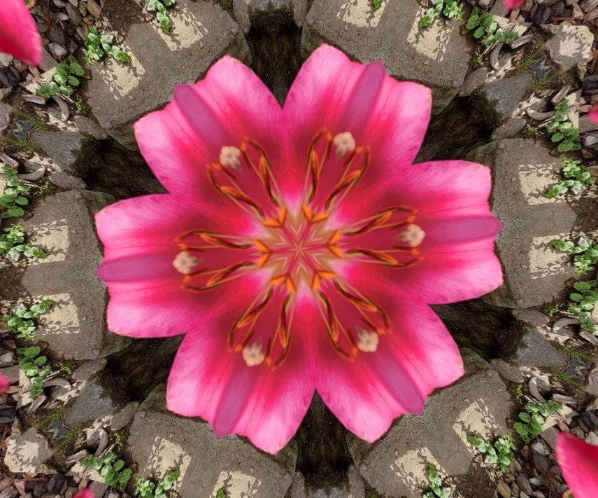 Solve Happy birthday dear Jill jigsaw puzzle online with 12 pieces