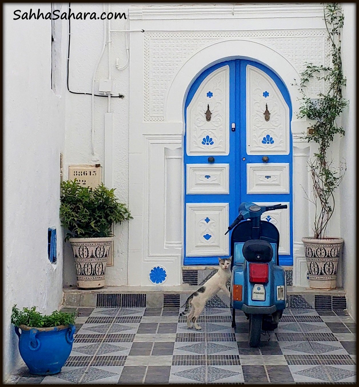 Solve Tunisian cat burglar, caught in the act jigsaw puzzle online with