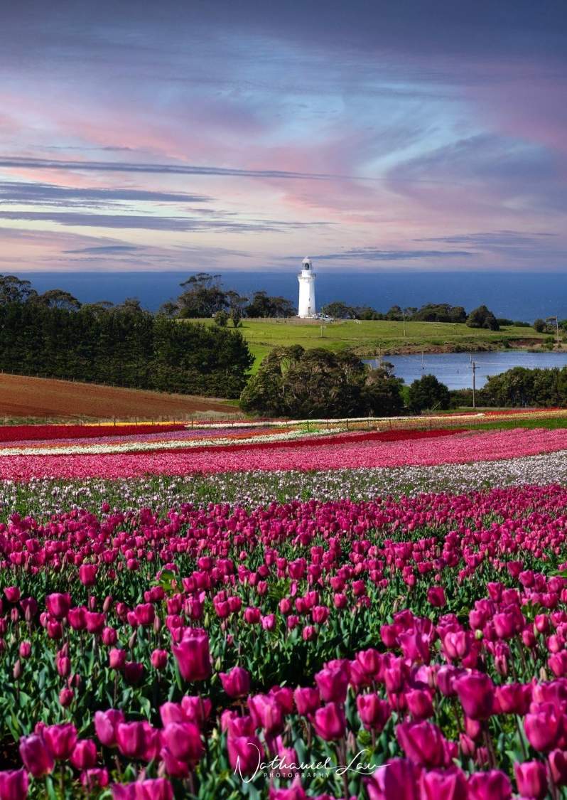 Solve Tasmania jigsaw puzzle online with 35 pieces