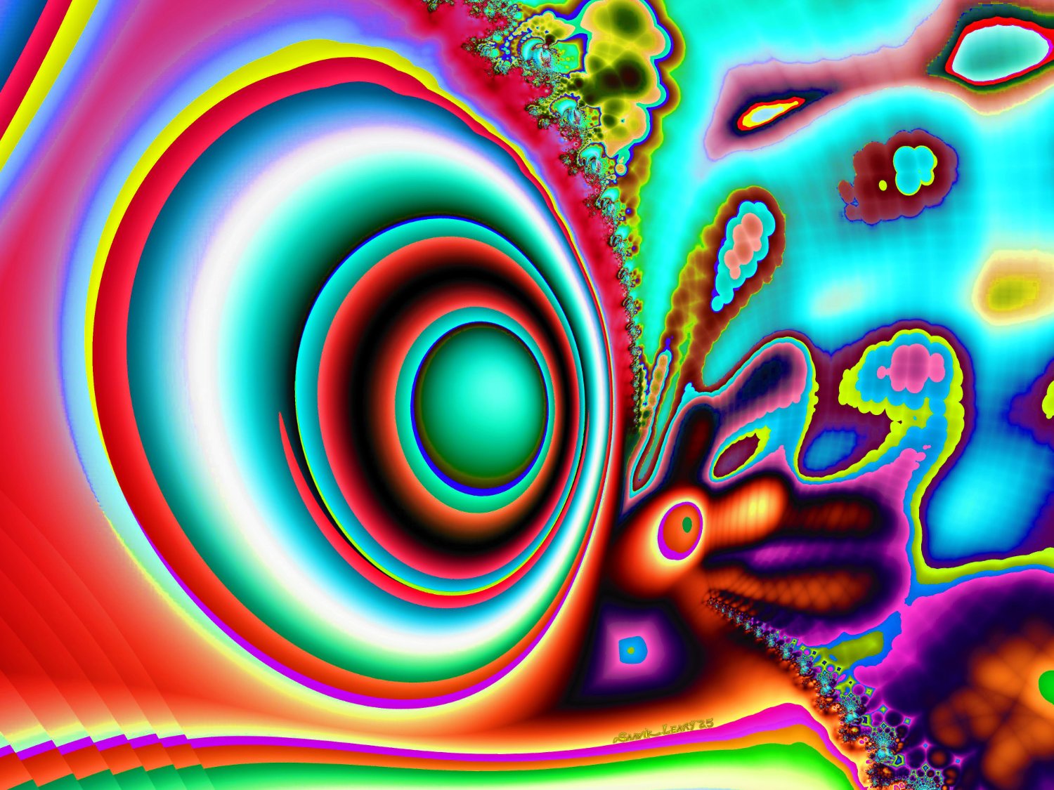 【希少品】「Fractal State Of Being」 希少品】「Fractal State Of Being」 Sara Skorgan Teigen
