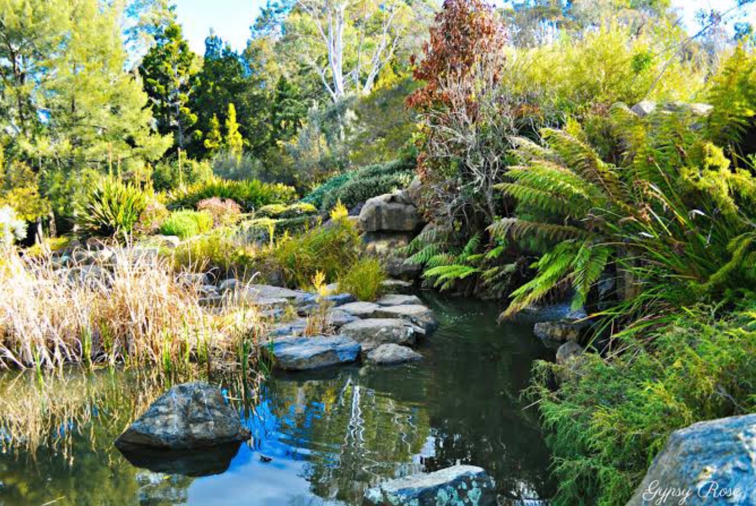 Solve National Botanic Gardens, Canberra, Australia jigsaw puzzle
