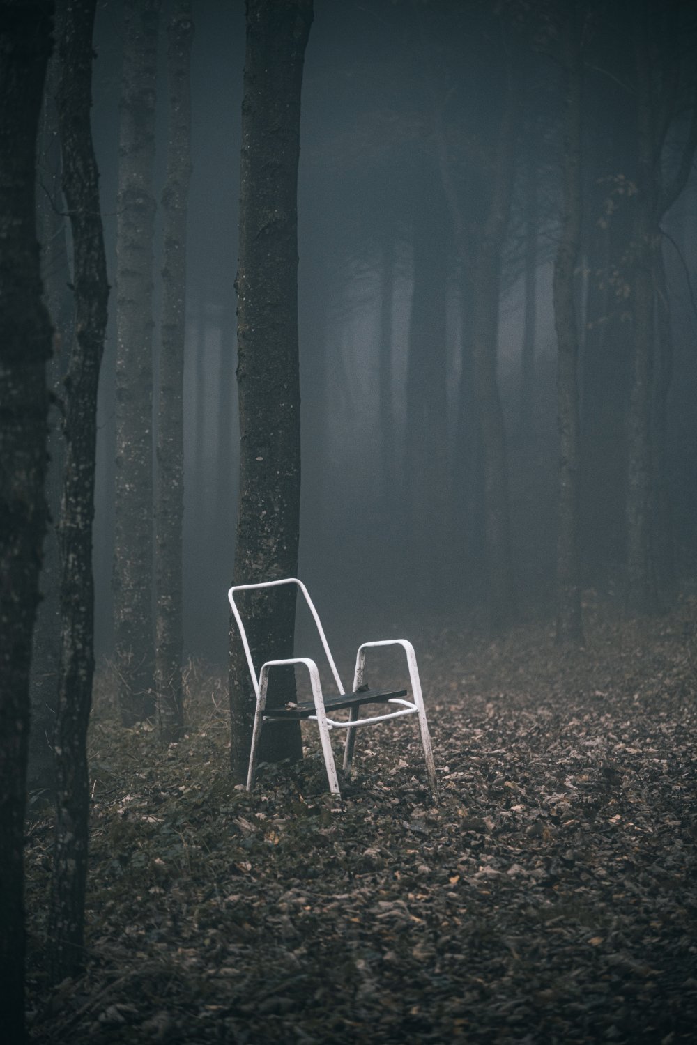 Solve lost chair jigsaw puzzle online with 117 pieces