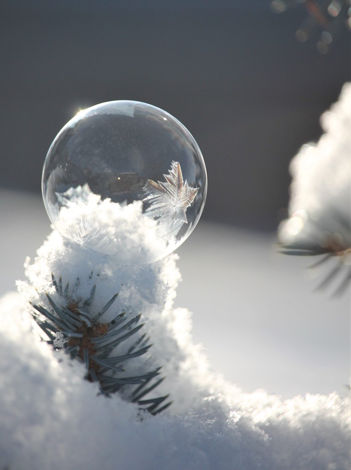 Solve Frozen bubble jigsaw puzzle online with 266 pieces