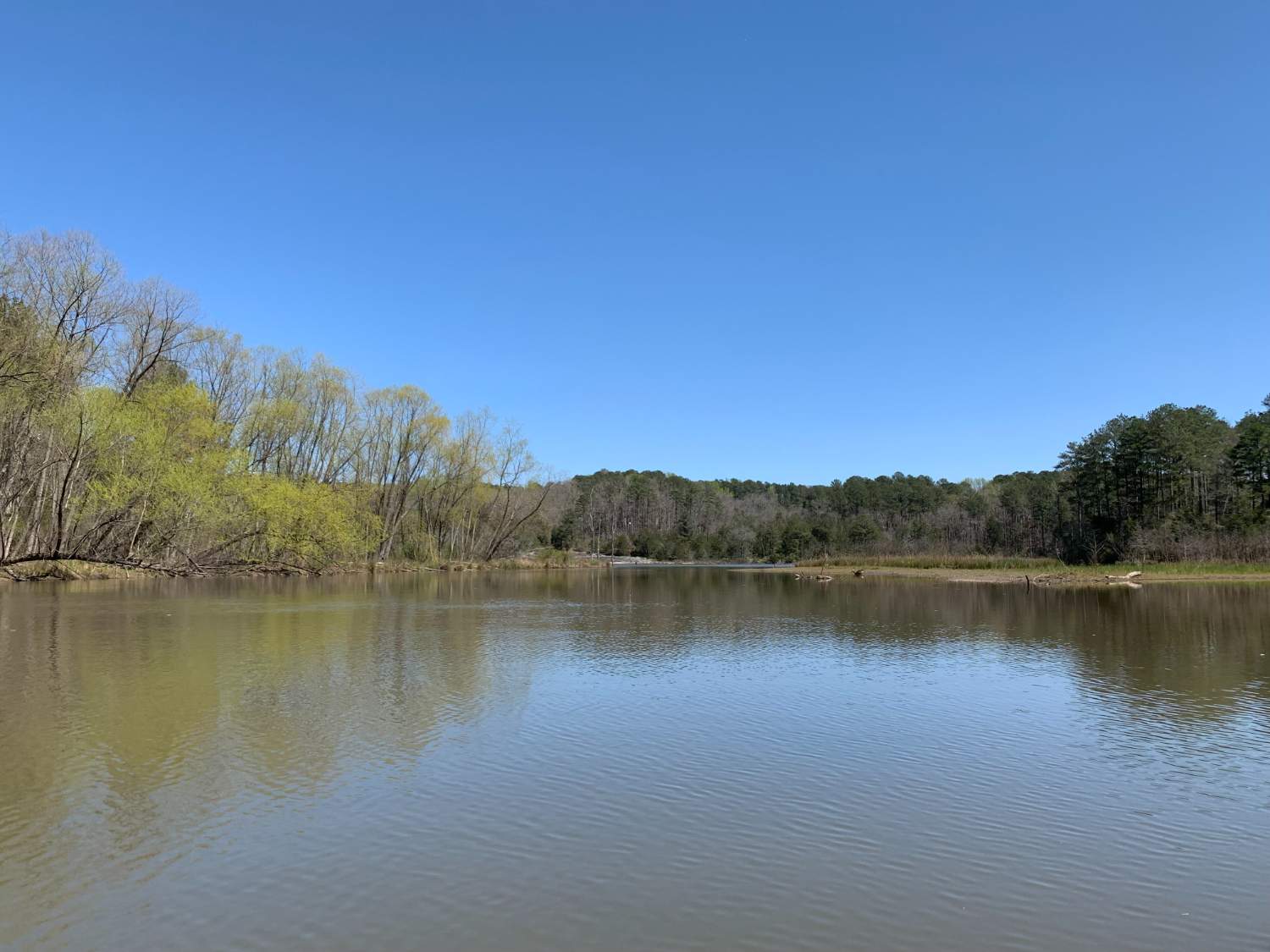 Solve Spring at Black Shoals Park jigsaw puzzle online with 99 pieces