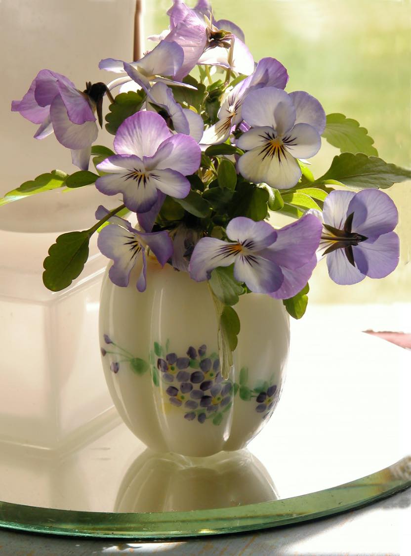 Solve Violas jigsaw puzzle online with 63 pieces