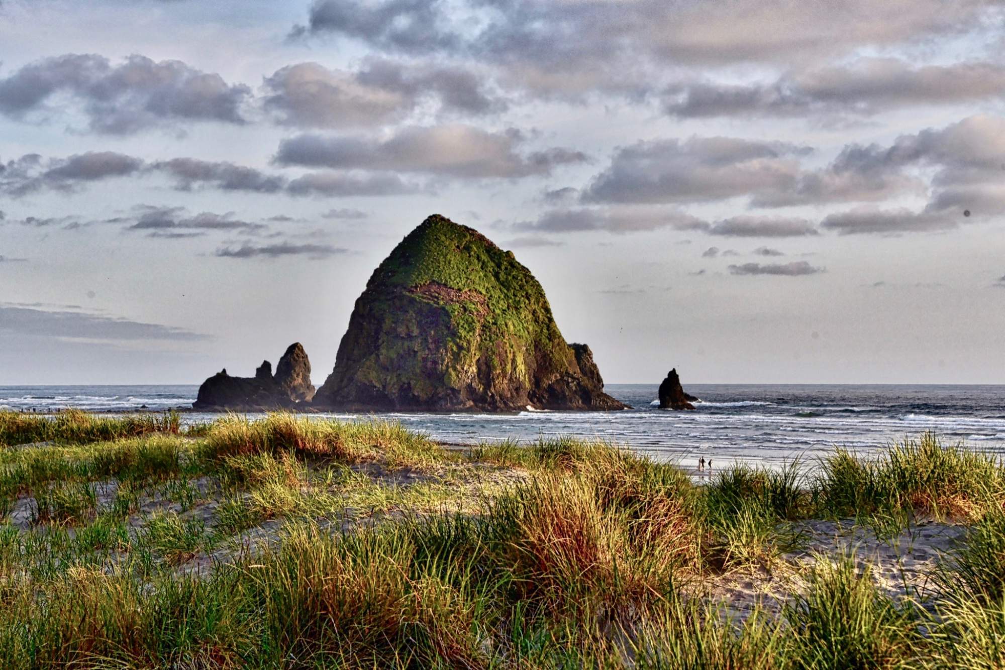 Solve TIDE'S IN HAYSTACK ROCK,OR jigsaw puzzle online with 330 pieces