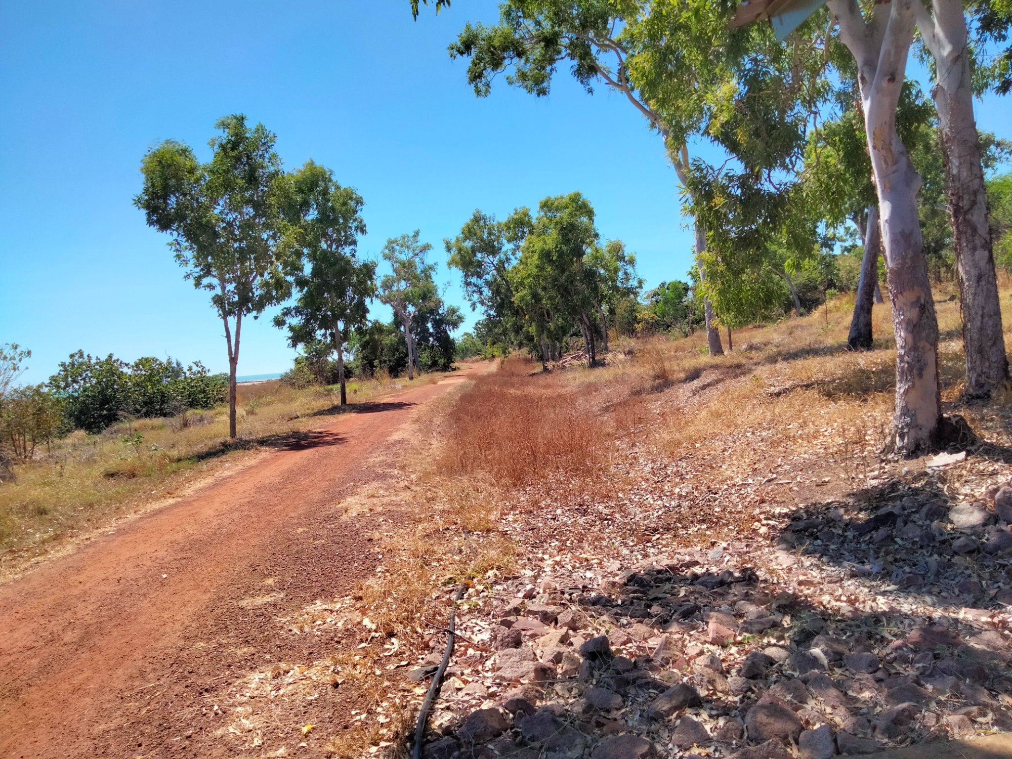 Solve Lee Point Darwin jigsaw puzzle online with 396 pieces