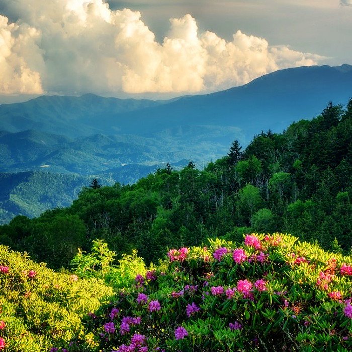 Solve The Appalachian National Scenic Trail jigsaw puzzle online with ...