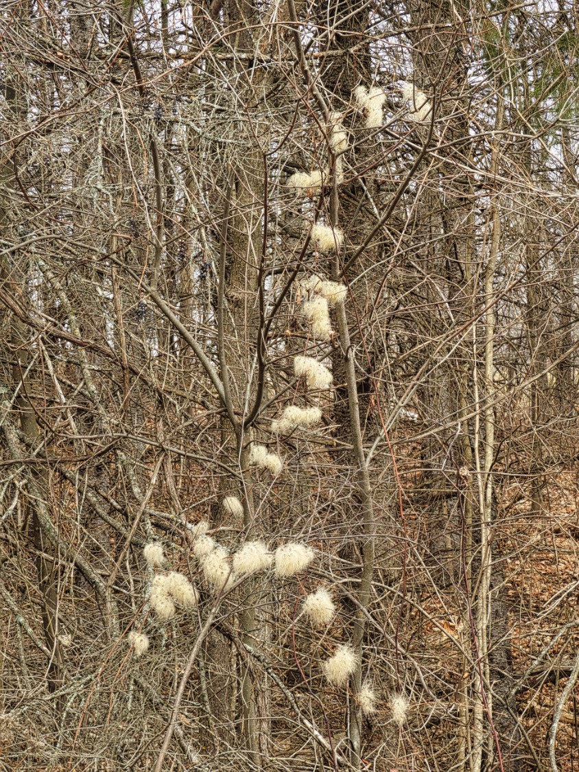 Solve Natural garland jigsaw puzzle online with 20 pieces