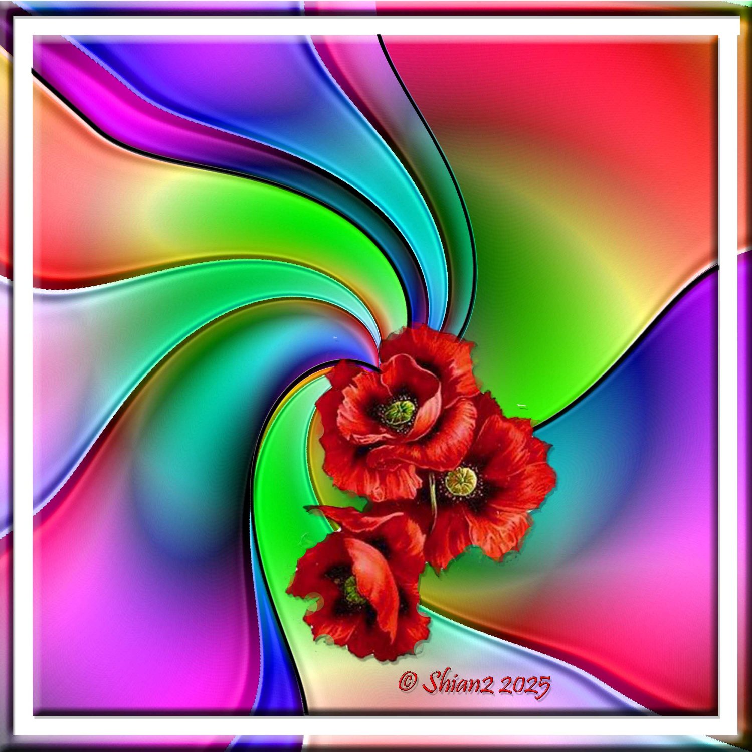 solve-3-poppies-jigsaw-puzzle-online-with-121-pieces