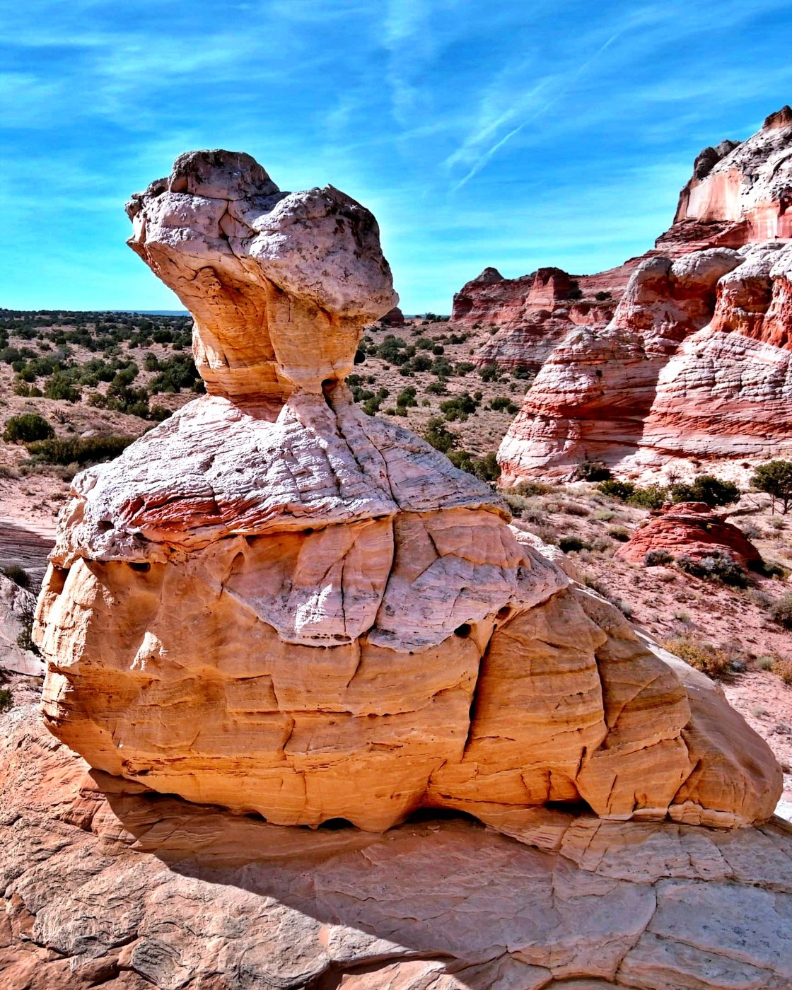 Solve Vermillion Cliffs National Monument, Kanab, Utah jigsaw puzzle