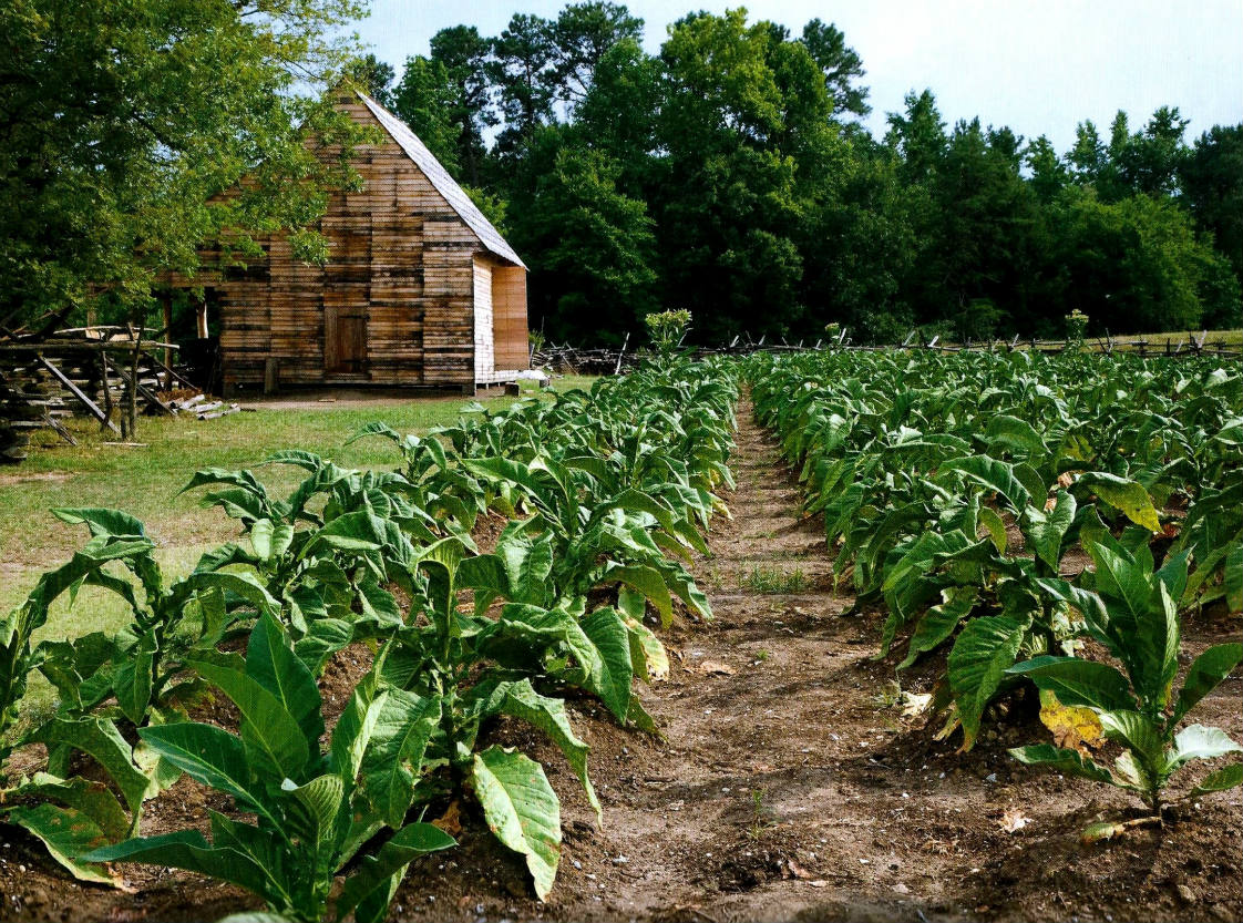 solve-colonial-williamsburg-s-great-hopes-plantation-calendar-jigsaw