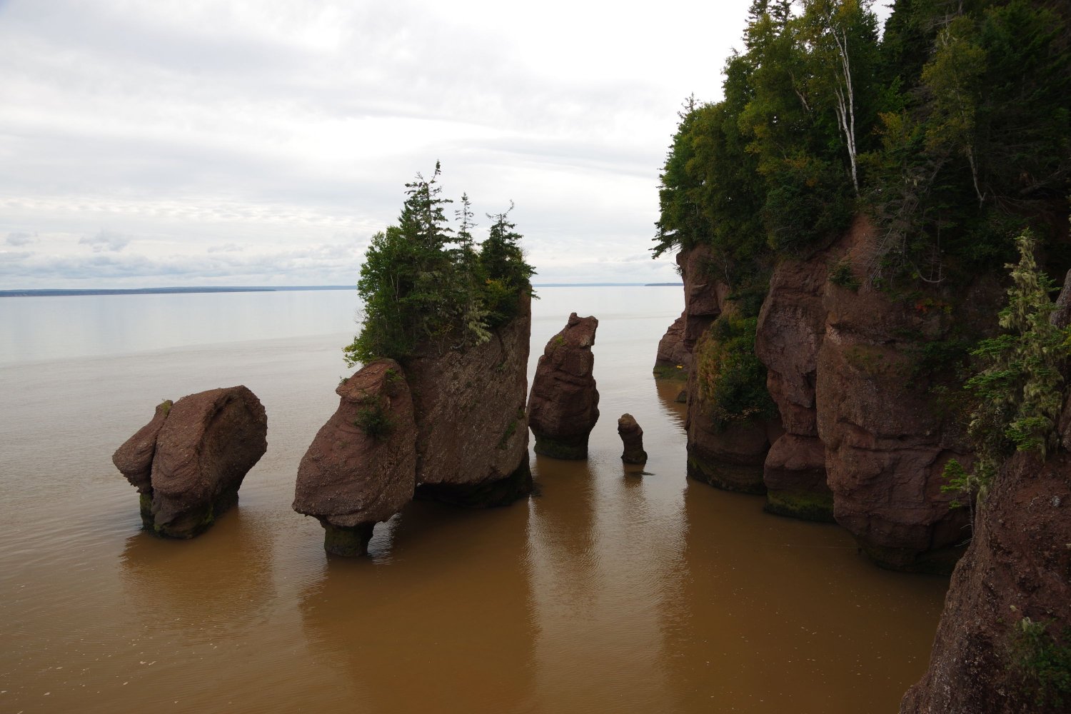 Solve Hopewell Rocks High Tide jigsaw puzzle online with 12 pieces