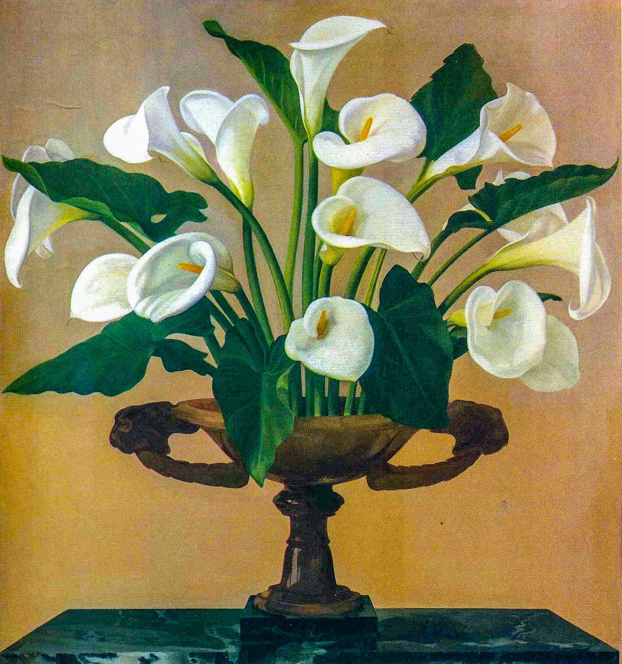 Solve Calla Lilies a.k.a. the Vernon Picture jigsaw puzzle online with