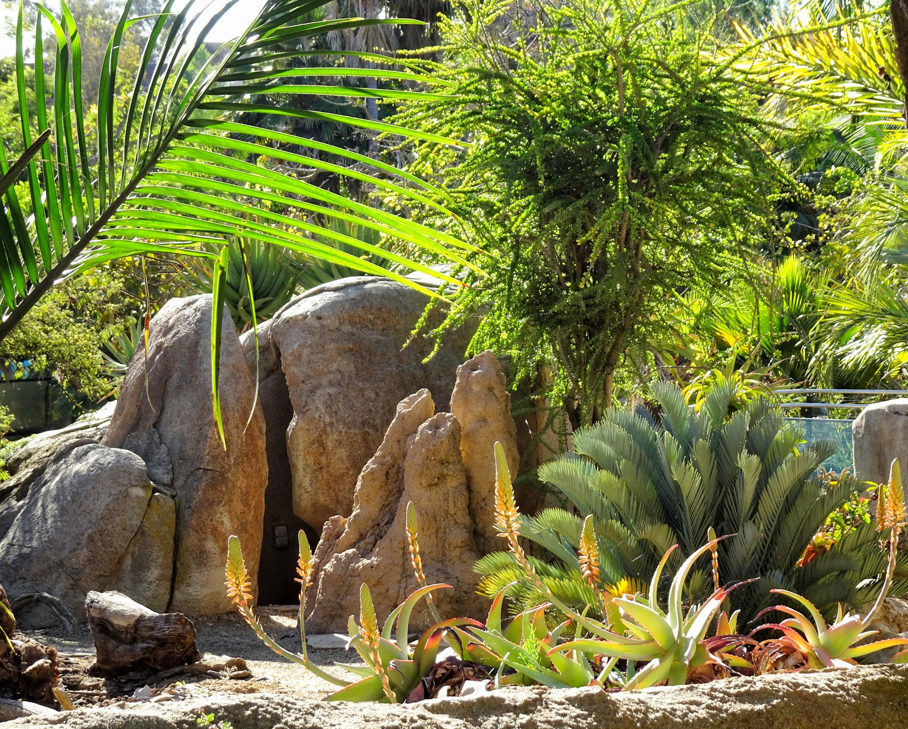 Solve San Diego Zoo - Reptile Exhibit (with no reptiles showing