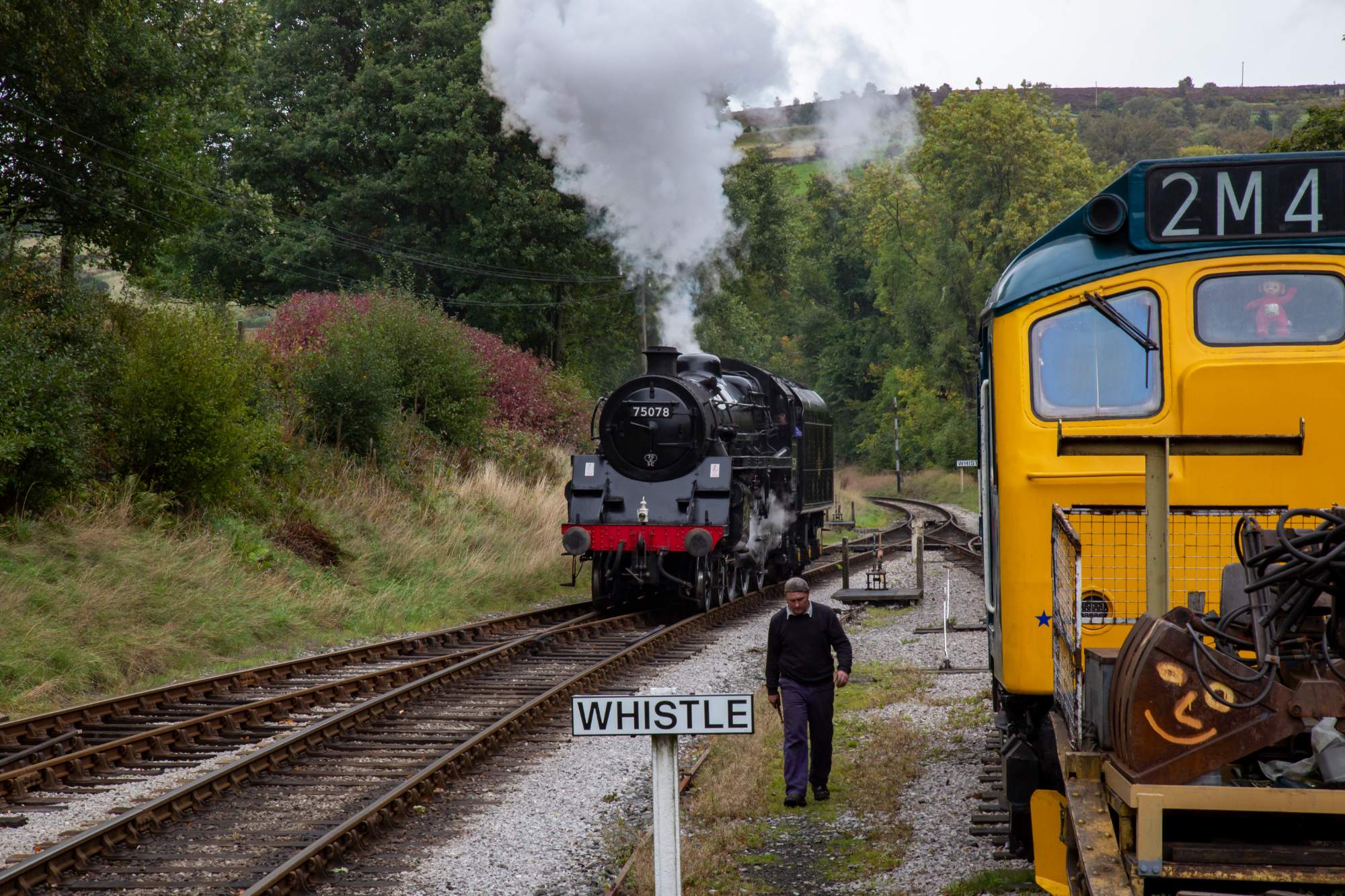 Solve Whistle jigsaw puzzle online with 330 pieces