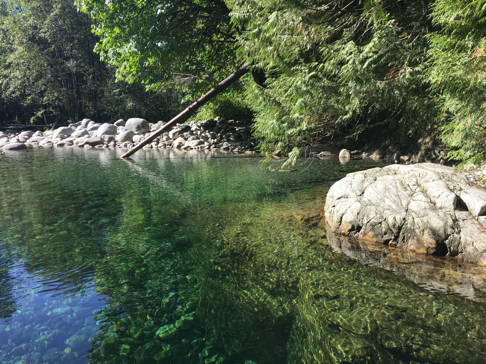 Solve Lynn Canyon Park Lake jigsaw puzzle online with 540 pieces