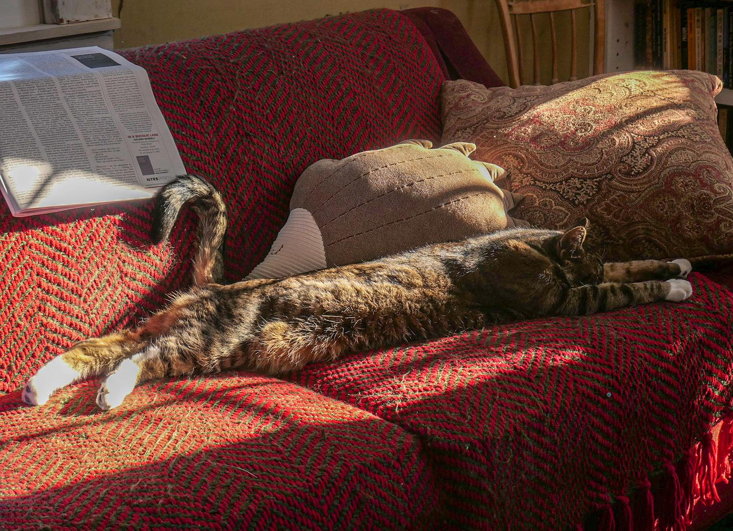 Solve Relaxation jigsaw puzzle online with 70 pieces