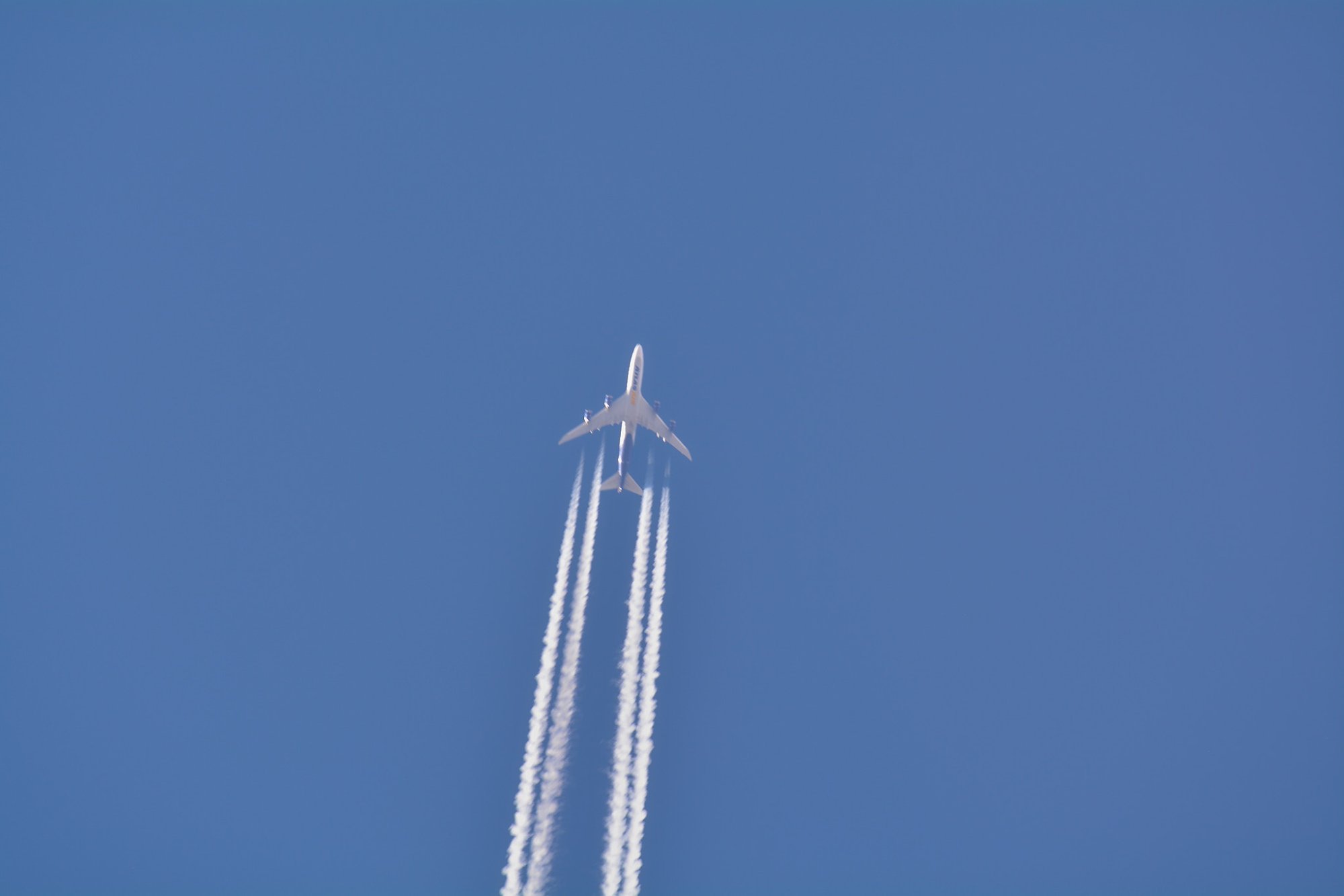 Solve High flier jigsaw puzzle online with 126 pieces