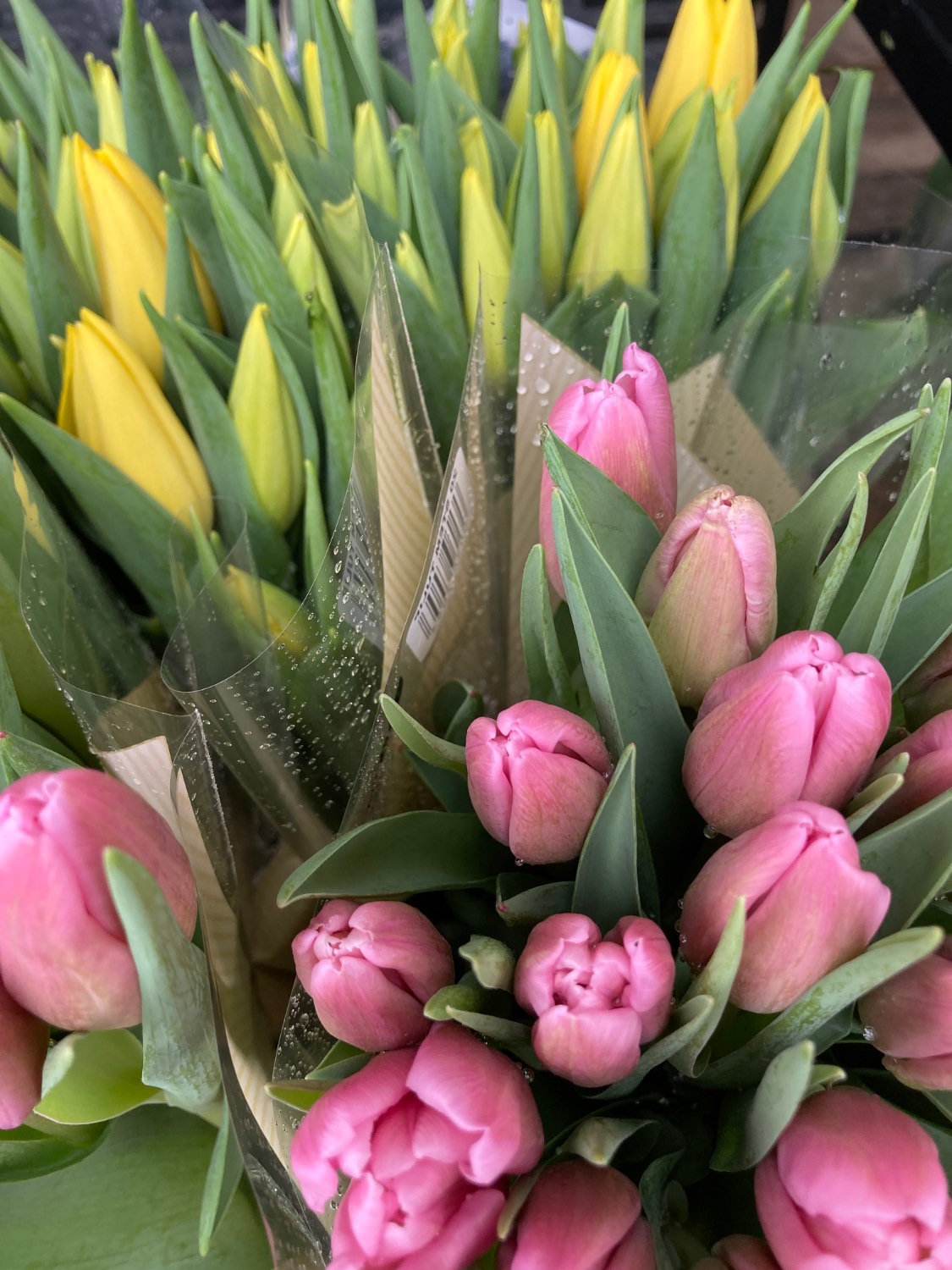 Solve Spring blooms. 💕 jigsaw puzzle online with 252 pieces