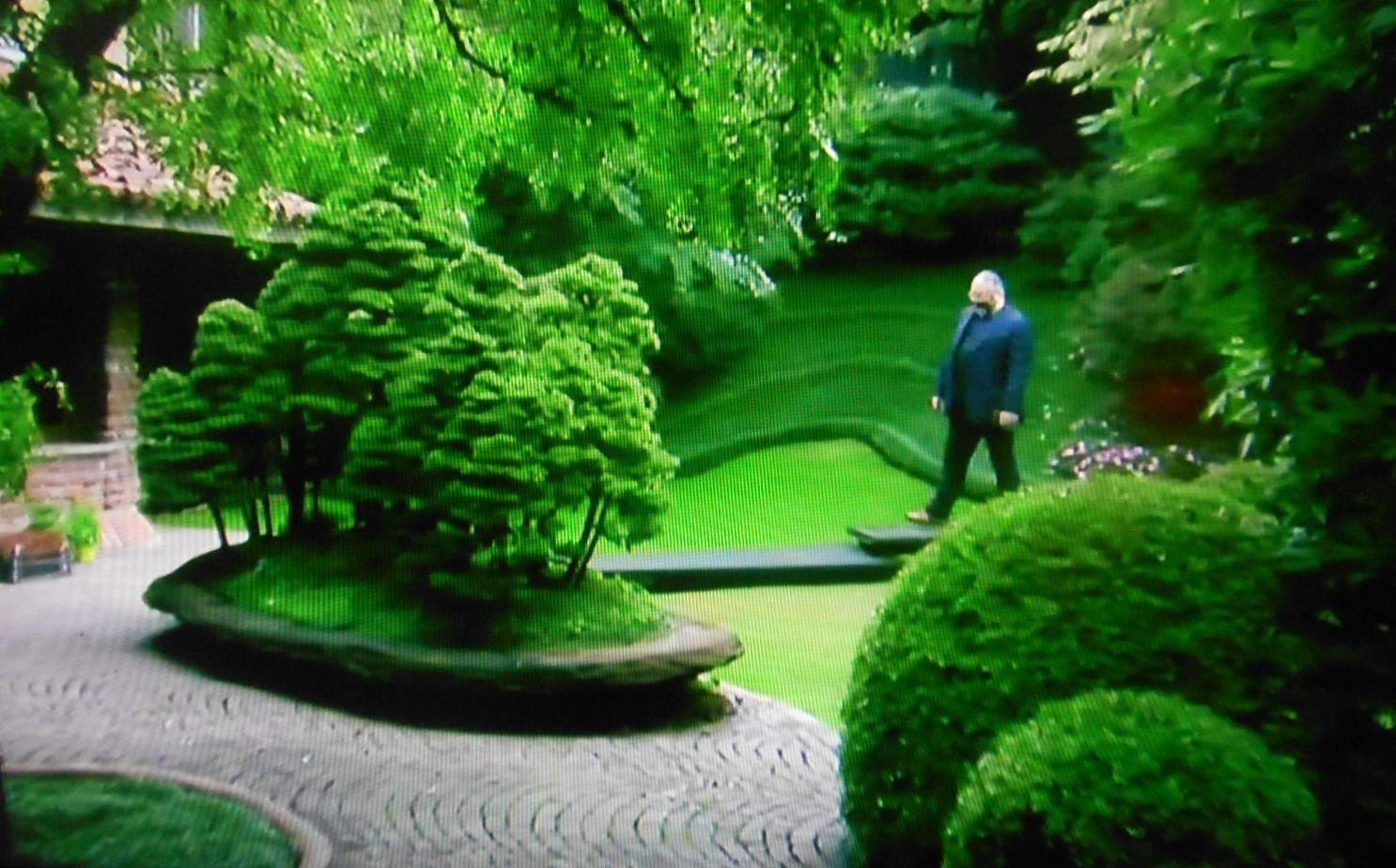 Solve Giant Bonsai jigsaw puzzle online with 40 pieces